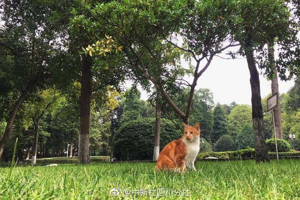 龔正：上海促消費(fèi)出實(shí)招，今年將舉辦這些重大促銷活動(dòng)