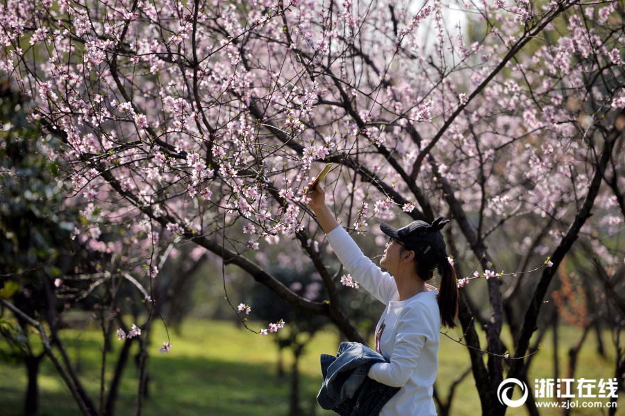 【吃瓜爆料網(wǎng)官網(wǎng)首頁入口】賦能邊境地區(qū)產(chǎn)業(yè)發(fā)展 產(chǎn)中大期貨進入綠春