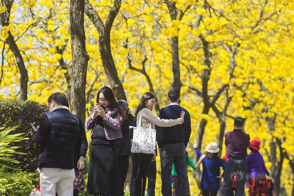 【51每日必吃熱門】前11月社會物流總額同比增長5.8%