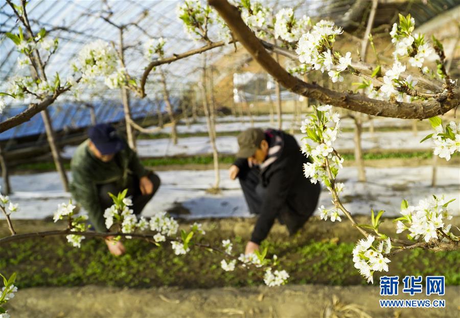 【黑料吃瓜網(wǎng)】繼續(xù)擴(kuò)容！至少16家券商完結(jié)DeepSeek本地化布置 詳細(xì)怎樣使用？