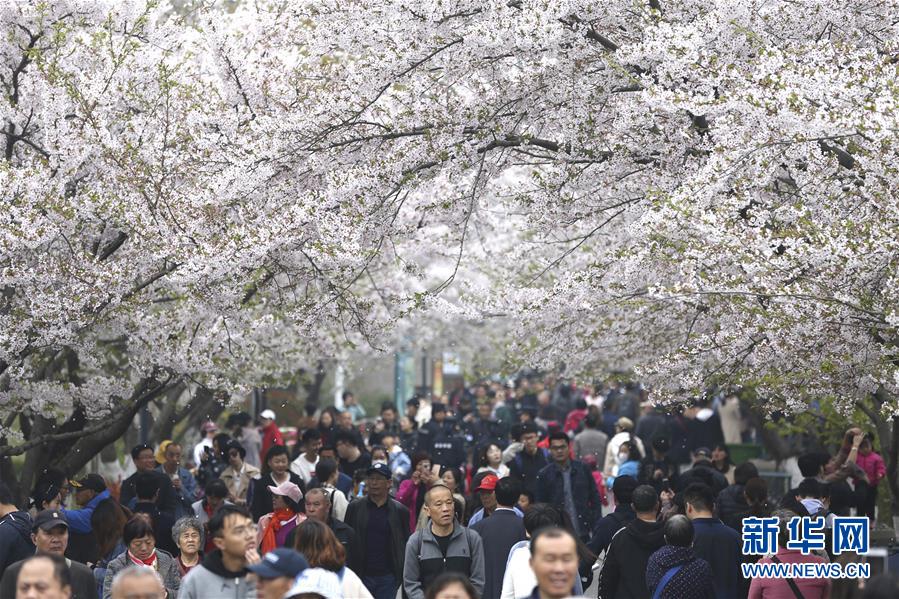 【吃瓜視頻最全觀看】新年禮物外賣搜索漲8倍 餓了么等即時零售平臺成年輕人偏好送禮渠道