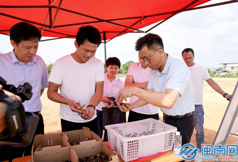 國際象棋世界冠軍賽第九盤丁立人戰(zhàn)平對手