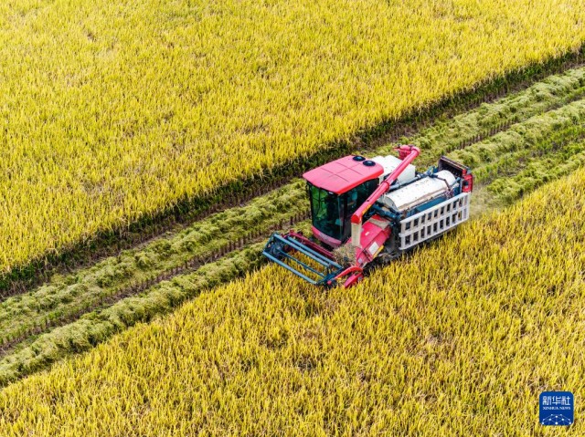 【勵(lì)志正能量】春運(yùn)火車票預(yù)售期內(nèi)各方向目前均有余票