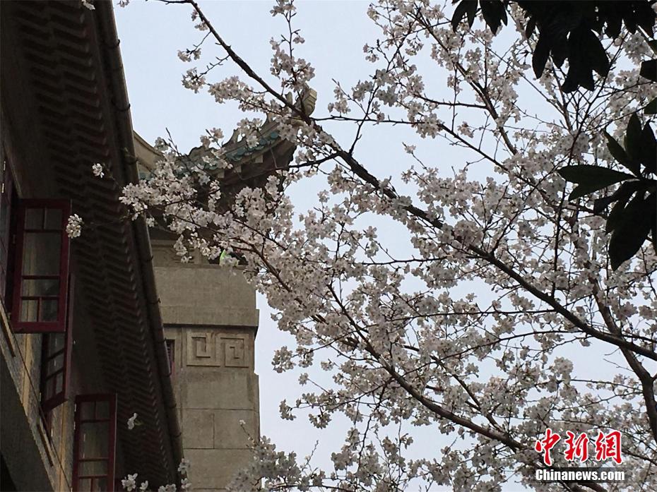 解放軍海軍艦艇編隊(duì)來了！香港市民:近距離直觀感受國家科技發(fā)展，“非常震撼”