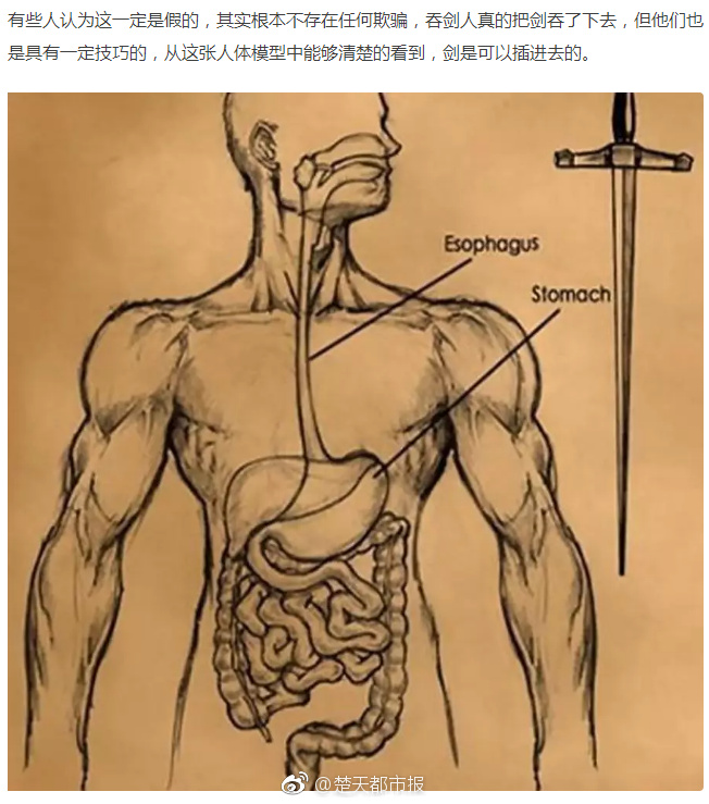 【西瓜視頻免費(fèi)】各地因苗制宜，做好小麥安全越冬 為明年夏季豐收奠定堅(jiān)實(shí)的基礎(chǔ)