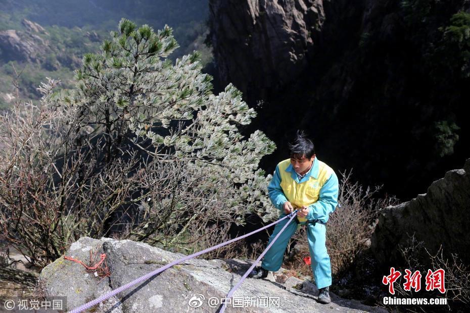 野生葫蘆娃是什么梗