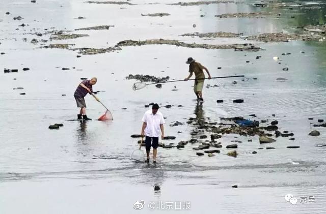 江蘇省法人試點(diǎn)組織落地 “中小微資金流”借款事務(wù)近億元