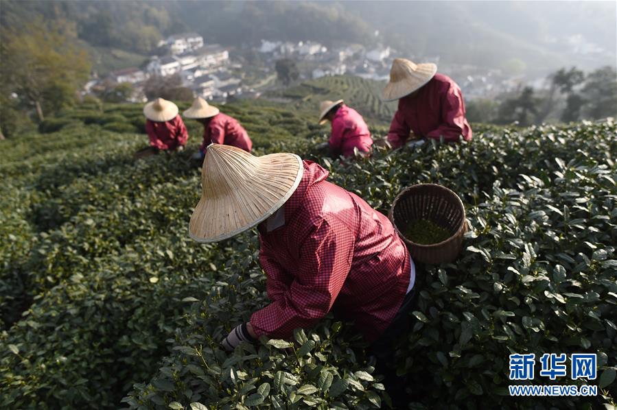 【蘑菇黑料爆料】世界上第一個(gè)“最佳旅游村”的啟示