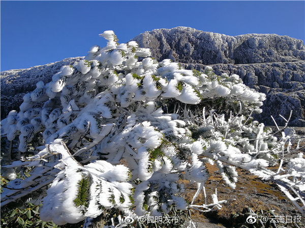 人保集團(tuán)舉辦了巨災(zāi)保險(xiǎn)論壇和巨災(zāi)風(fēng)險(xiǎn)管理創(chuàng)新成果發(fā)布會(huì)