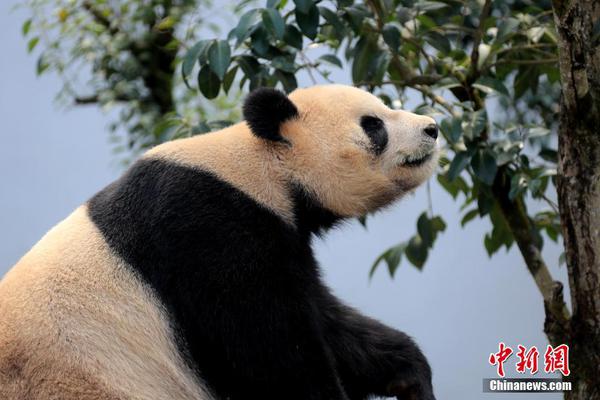 去年省人大會(huì)議提出的議案建議均已辦理完畢