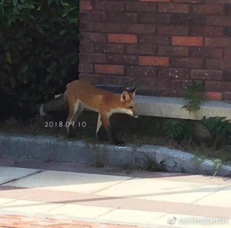 深圳首條跨海地道通車 媽灣海底地道全長約8.05千米，為國內(nèi)海底最大直徑盾構(gòu)地道