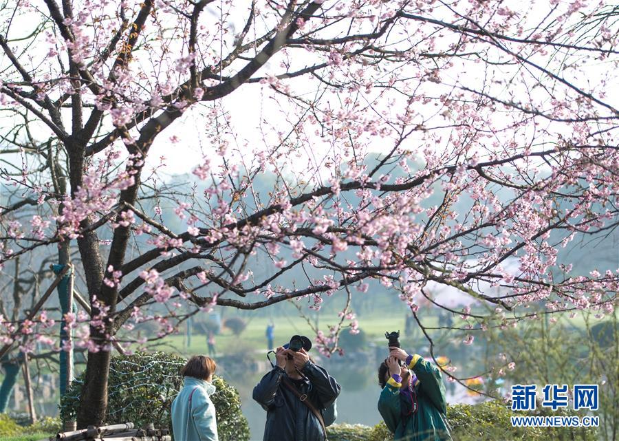 首創(chuàng)環(huán)保集團(tuán)：好氧顆粒污泥技術(shù)在海寧市落地