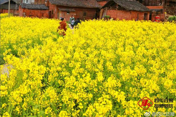 全球降息風(fēng)不止 中國(guó)資產(chǎn)配置價(jià)值凸顯