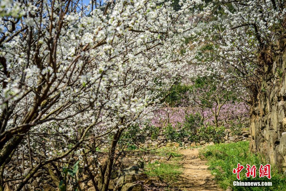 中國新增了7個世界“最佳旅游村”