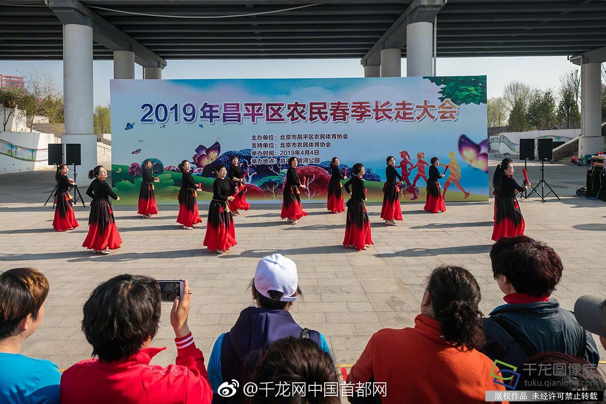 舉辦西部民族地區(qū)青年藝術家作品展