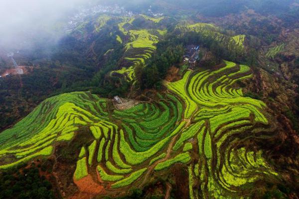 珠海2024年外貿(mào)進出口同比增加9.4%，對墨西哥進出口大漲84.5%