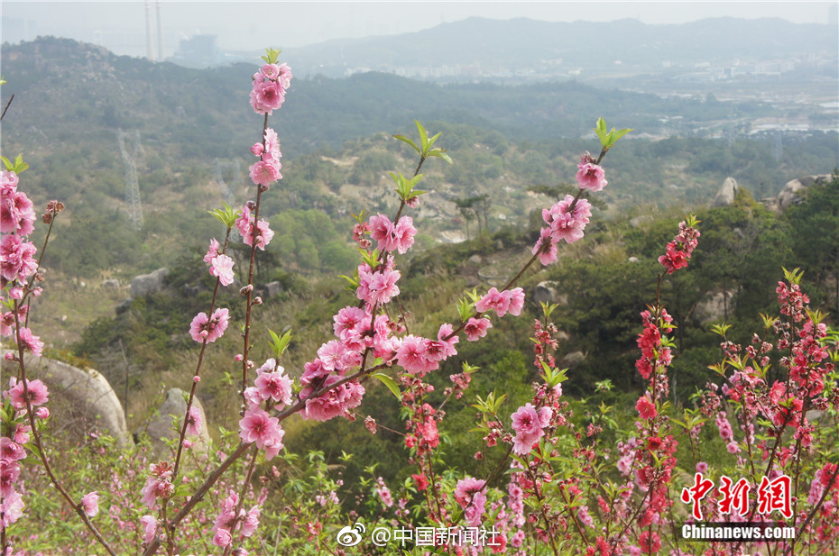 【吃瓜黑料視頻永久地址】美債收益率漲跌不一，2年期美債收益率跌0.7個基點(diǎn)