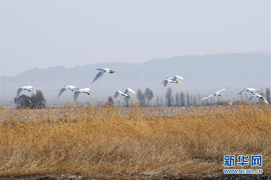 【黑料網(wǎng)今日黑料首頁】漳浦縣少體校訓(xùn)練基地授牌儀式舉行