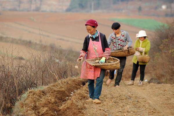 【51熱門今日吃瓜】離岸人民幣兌美元跌53個基點，報7.3403