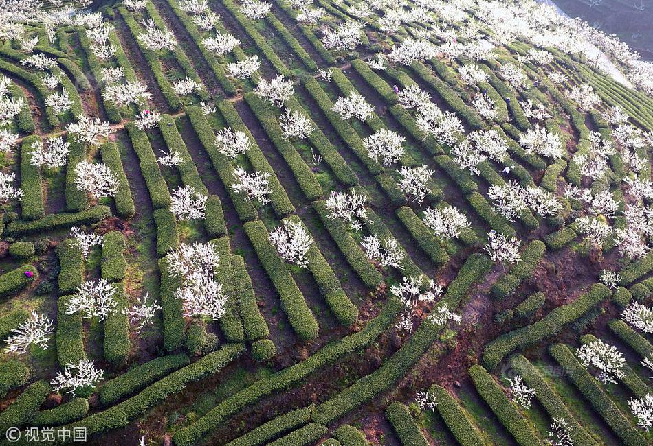 【黑料不打烊tttzzz入口】冰雪旅游季開始 很多地方的冰雪旅游項(xiàng)目都是新的