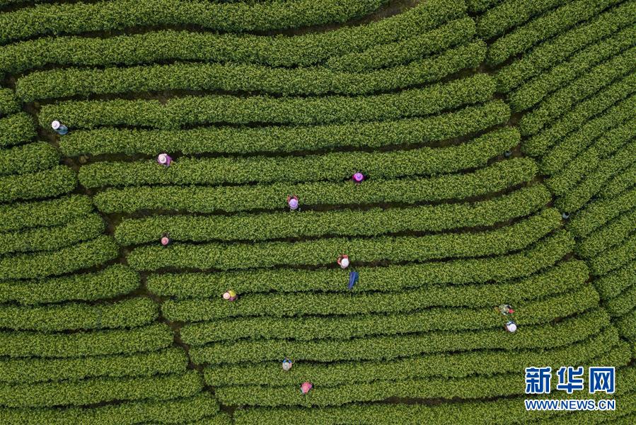 【51每日必吃熱門】2025年春運(yùn)國航全力做好旅客乘機(jī)出行服務(wù)保障