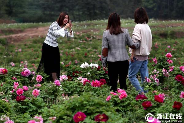 【黑料不打烊官網(wǎng)】德國(guó)柏林發(fā)生持刀襲擊事件 致多人受傷