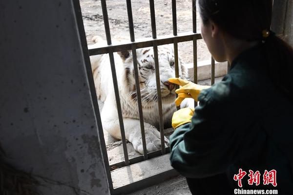 【網曝吃瓜黑料在線網站首頁】打造縣域游新亮點