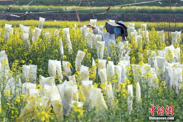 【51cg熱門大瓜今日吃瓜趙子涵】福建推出6條寒假研學深度游線路