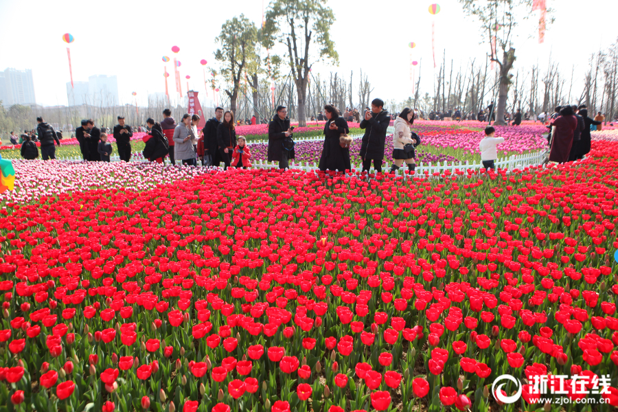 【seo短視頻網(wǎng)頁(yè)入口引流】第一批科創(chuàng)綜指ETF獲批，“花”落華夏基金等公司