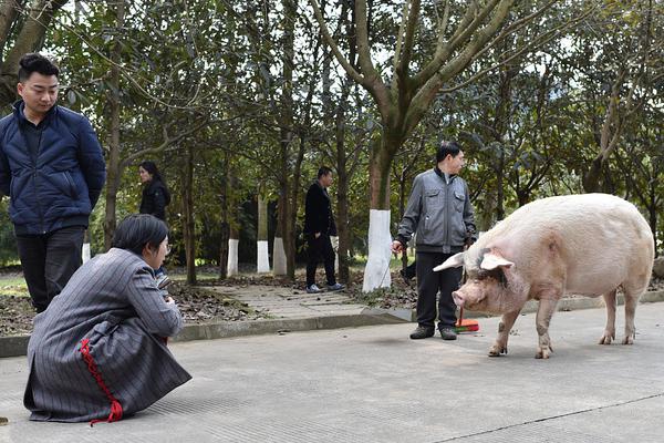 印尼北蘇門答臘省山洪和泥石流災害已致20人死亡