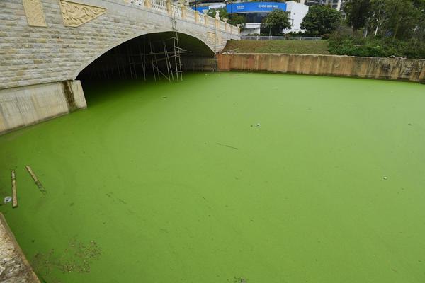 【熱門事件黑料不打烊吃瓜】青海茫崖：“最孤獨(dú)城市”里的科幻旅程