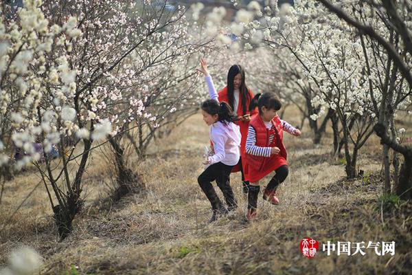 【吃瓜網(wǎng)51爆料yandex】寧夏推出5條非遺旅游線路