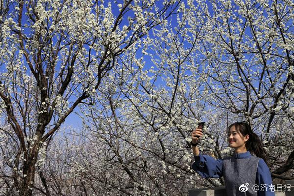 【黑料正能量】國航遠洋發(fā)布員工持股計劃：與公司共同成長 實現(xiàn)企業(yè)長效發(fā)展