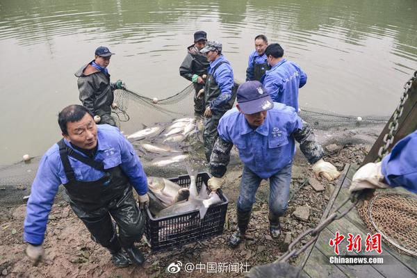 【17ccgcg吃瓜網(wǎng)黑料爆料蘑菇】云城區(qū)用好“兵支書”“兵委員”推進(jìn)“百萬工程”｜“百萬工程”集成改革典型案例