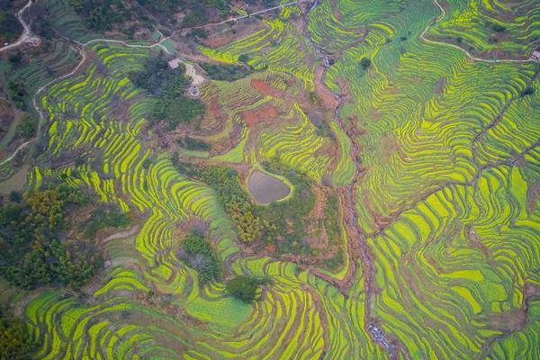 【51吃瓜北京朝陽群眾熱心吃瓜】延長石油油氣當(dāng)量突破2000萬噸