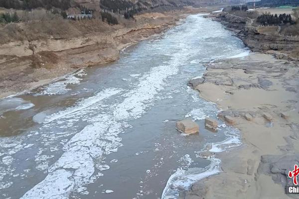 【反差吃瓜黑料事件】廣東濱海濕地迎來(lái)留鳥遷徙盛景 為冬日增加無(wú)限活力