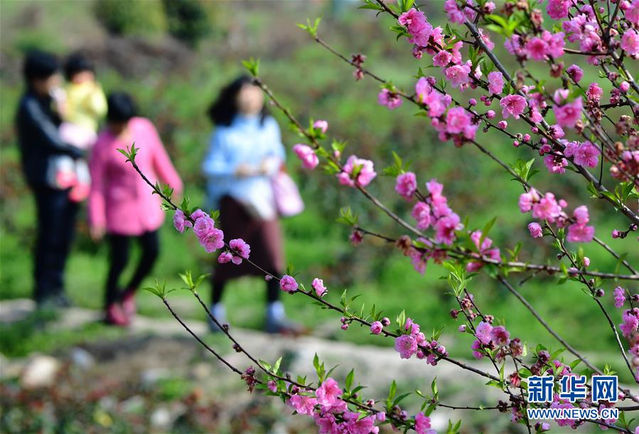 【黑料不打烊官網(wǎng)】全國鐵路今日估計(jì)發(fā)送旅客1330萬人次