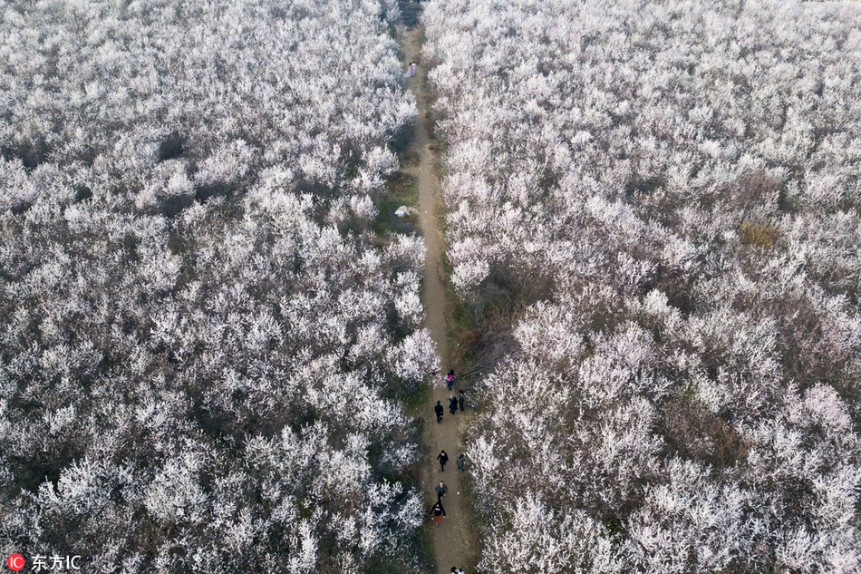 【國產(chǎn)精華液一線二線三線區(qū)別在哪】南非央行將25個(gè)基點(diǎn)降至7.75%