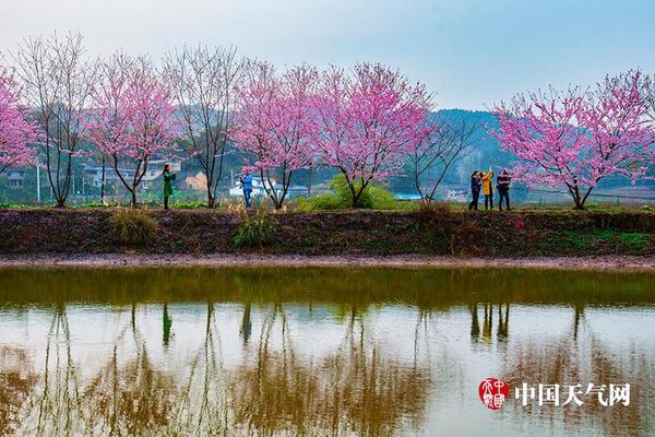 農(nóng)業(yè)和農(nóng)村事務(wù)部：繼續(xù)推進(jìn)飼料糧減量替代 促進(jìn)節(jié)糧降耗，降低養(yǎng)殖業(yè)成本，提高效率