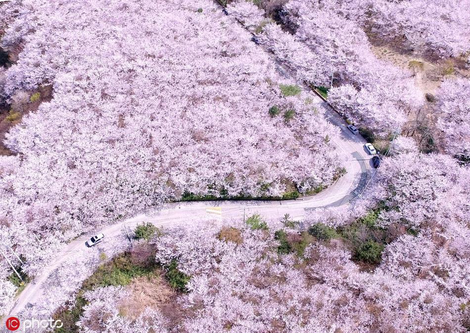 【張津瑜三部曲在哪里】晉江天氣：氣溫略有回升 陽光有望回歸