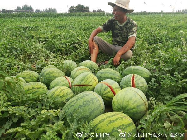 【每日更新】首個(gè)網(wǎng)絡(luò)餐飲自治聯(lián)盟在杭州成立