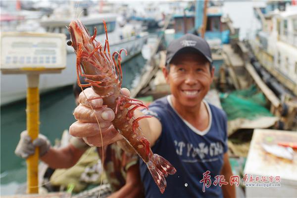 【熱點(diǎn)爆料官方網(wǎng)站入口】2024年旺丁不旺財(cái)，2025年中國旅游市場走向何方？