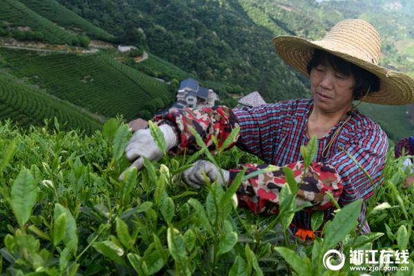 中原糧倉加快向“國人廚房”轉(zhuǎn)變