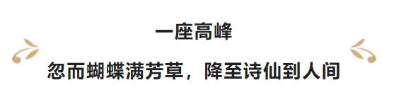 【番茄影視大全免費(fèi)看電視劇】中國(guó)奧園：史莉莉已獲委任為非執(zhí)行董事