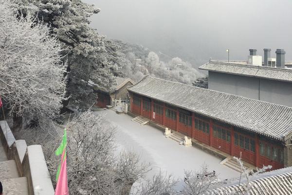 【tpu色母和子色母的性能】深圳鐵路、機(jī)場(chǎng)迎返程頂峰 深圳北站單日抵達(dá)客流量再創(chuàng)新高