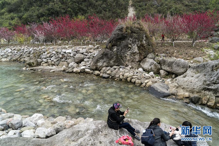 【黑料網(wǎng)】非洲國家首次 南非正式接任二十國集團(tuán)輪值主席國