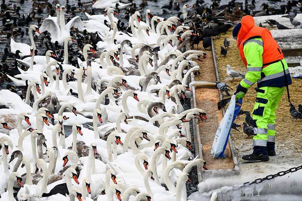 【吃瓜黑料視頻永久地址】多家外資機(jī)構(gòu)唱多2025年A股市場