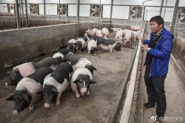 【吃瓜表情包】春運(yùn)首日保障航班1274架次 深圳空管2025年春運(yùn)航班保障或逼近5萬架次，有望創(chuàng)歷史新高