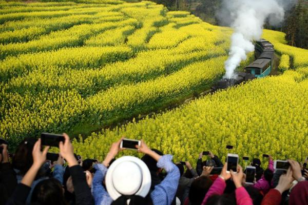 河南：繼續(xù)實(shí)施消費(fèi)品以舊換新政策 將手機(jī)、平板、智能手表手環(huán)等納入支持范圍