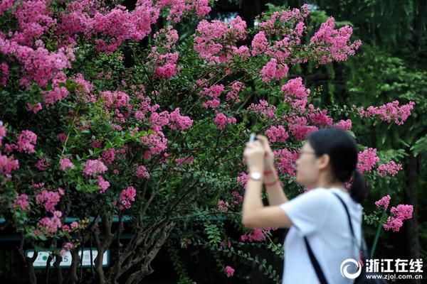 中國(guó)宣紙走向海外